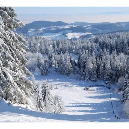 Le Bonhomme Proche De Kaysersberg Et Du Lac Blanc 외부 사진